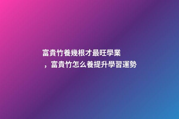 富貴竹養幾根才最旺學業，富貴竹怎么養提升學習運勢
